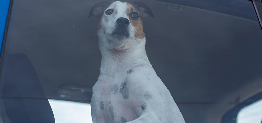 Car Lockout Solutions in Dana Point, California